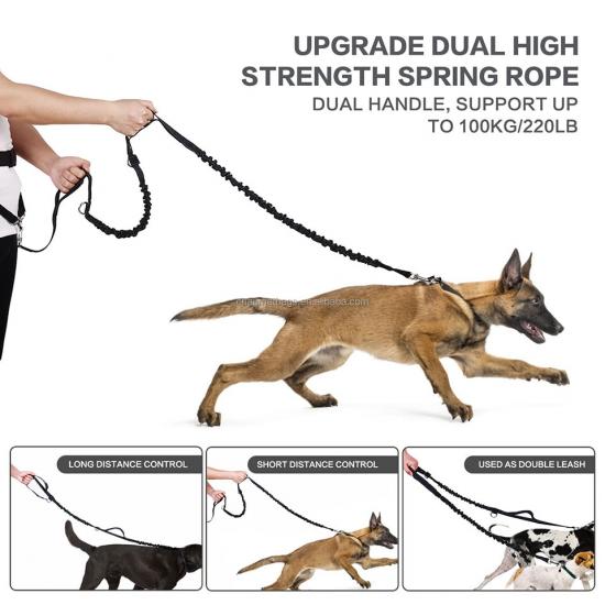  Jogging Leash with belt pouch for dogs cats