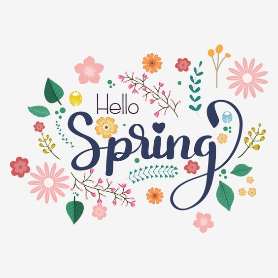 Hello Spring！